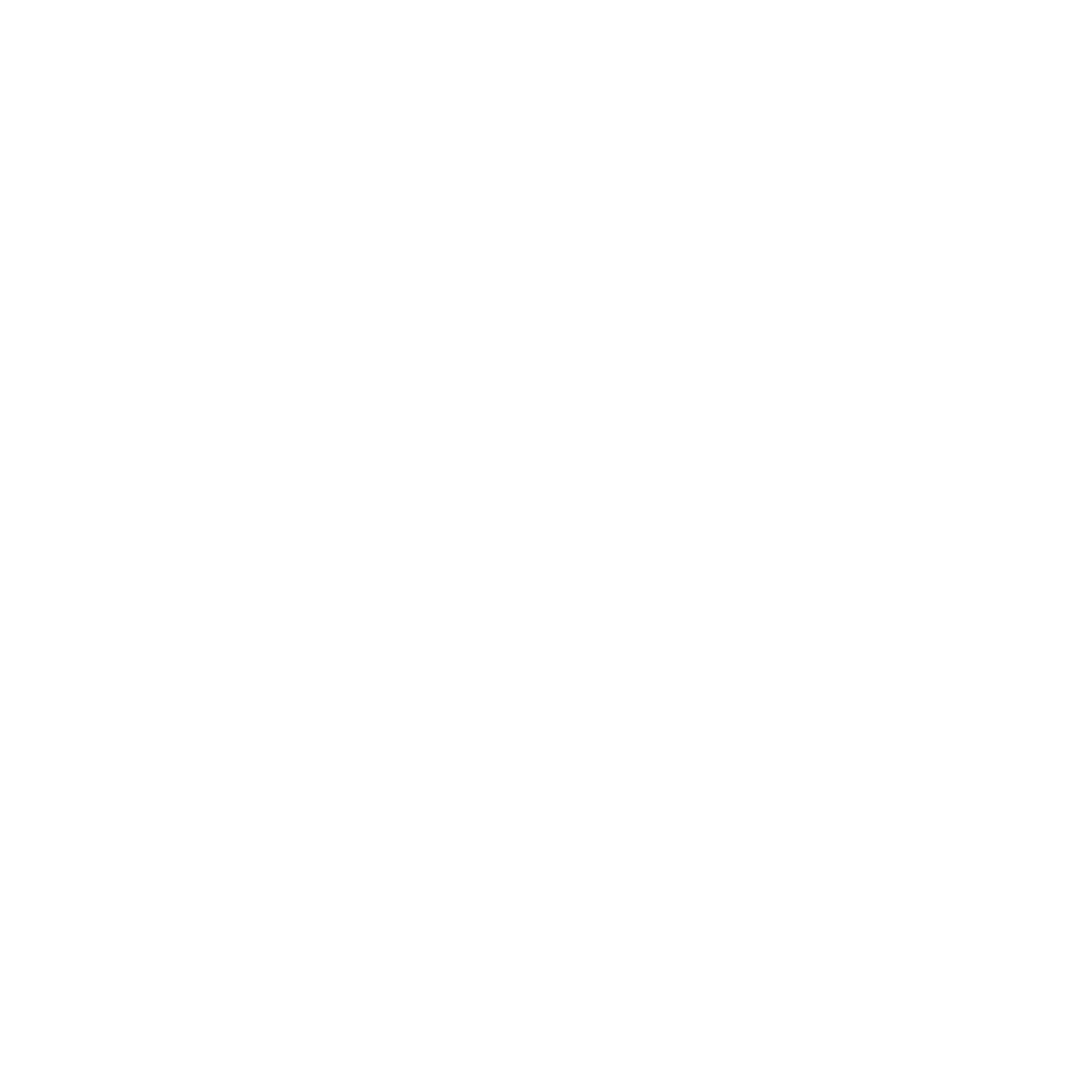 模式図