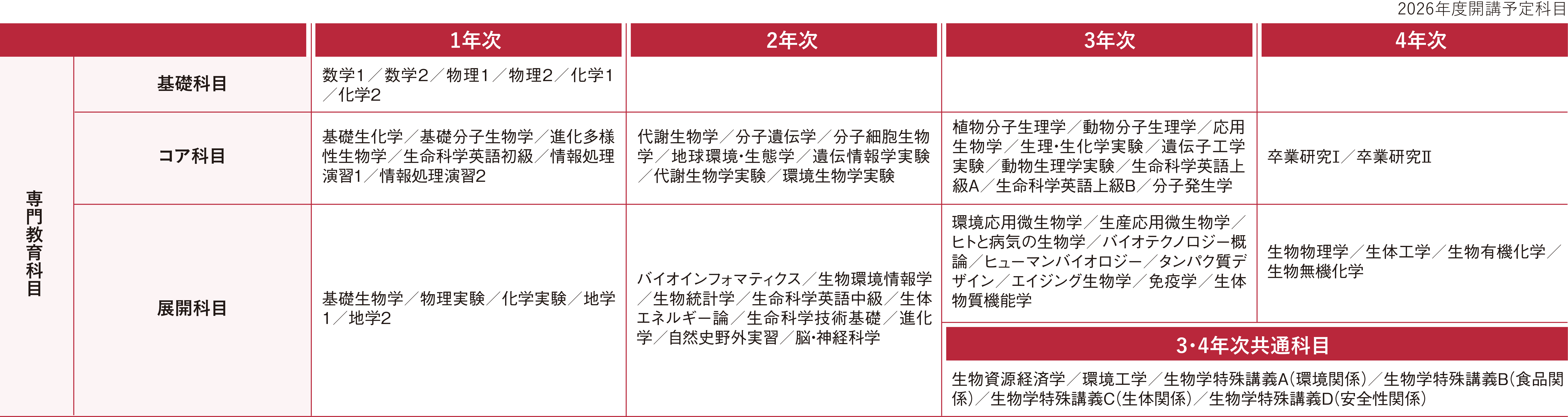 カリキュラム表：詳細はPDFを参照ください